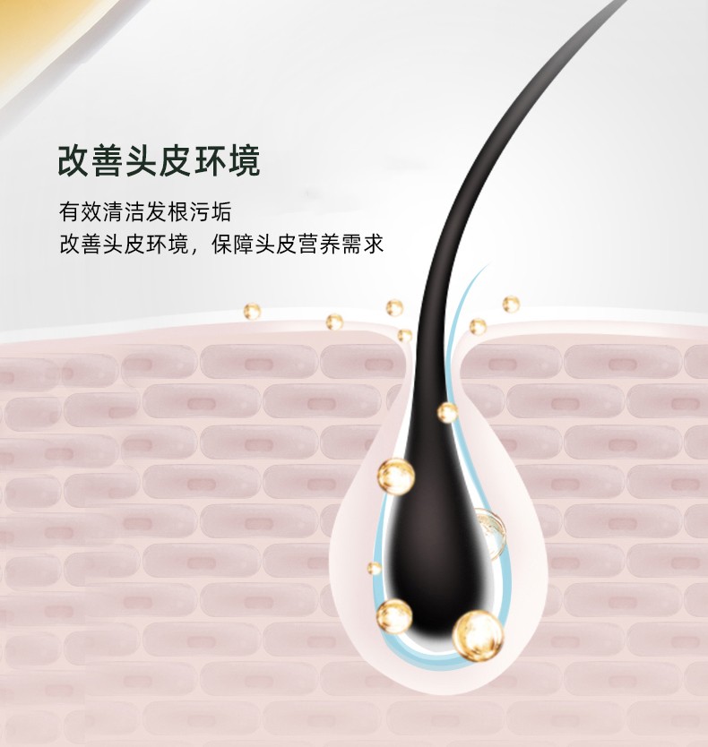 改善頭皮環(huán)境   有效清潔發(fā)根污垢   改善頭皮環(huán)境，保障頭皮營養(yǎng)需求